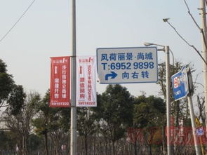 风荷丽景 上海都市中的诗意栖居